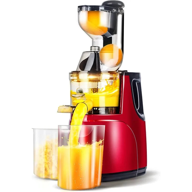 Masticating Juicer Machine